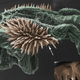 Image for article titled Why did the seed beetle's penis evolve to look like this?